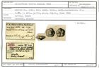 Karteikarte zum Holotyp von Discorbina turris Karrer, 1868